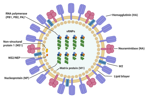 Influenza A virus